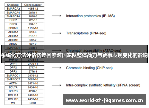 系统化方法评估伤停因素对国家队整体战力与赛事表现变化的影响 系统化方法评估伤停因素对国家队整体战力与赛事表现变化的影响